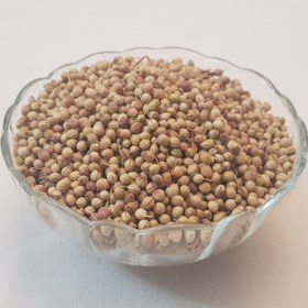 تصویر تخم گشنیز (کزبره) 