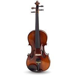 تصویر ویولن فونیکس مدل VS303 سایز ۴/۴ 