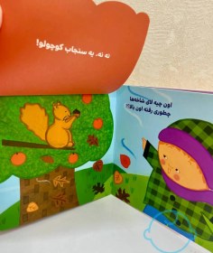 تصویر کتاب نی نی عاشق پاییزه انتشارات نردبان سری دالی بازی