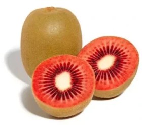 تصویر نهال کیوی قرمز 