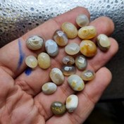 تصویر پک ۲۰ عدد باباقوری 