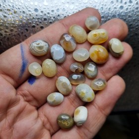 تصویر پک ۲۰ عدد باباقوری 