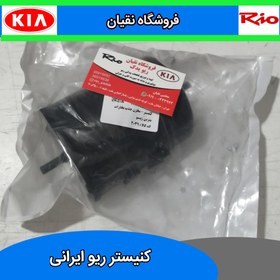 تصویر کنیستر ریو 