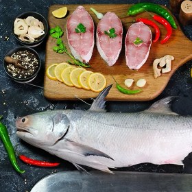 تصویر ماهی راشگو 