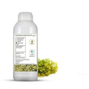 تصویر طعم دهنده آنغوزه خوراکی 