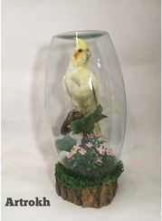 تصویر عروس هلندی تاکسیدرمی داخل گوی شیشه ای taxidermi