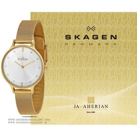 Skagen skw2150 hotsell