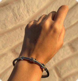 تصویر بنگل سیلور 