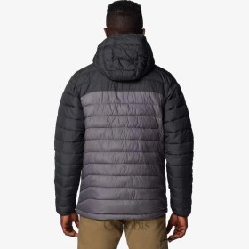 تصویر کاپشن کلاه دار کلمبیا مدل Columbia Men's Powder Lite II Hooded Jacket Wo6272-023 