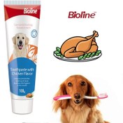 تصویر خمیر دندان سگ بایولاین طعم مرغ 100 گرم + مسواک انگشتی رایگان Bioline Dental Care Set for Dogs chicken 100ml