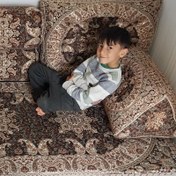 تصویر شاه نشین شاهسوند کرم قهوه ای یا نسکافه هفت تکه ترمه اصل وتراکم بالا 