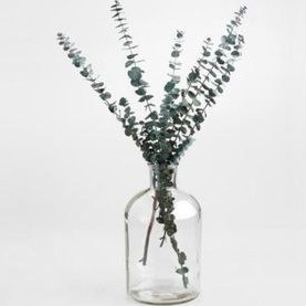 تصویر بطری دکوری مدل شیشه ای کد Ma3 بسته 3 عددی 