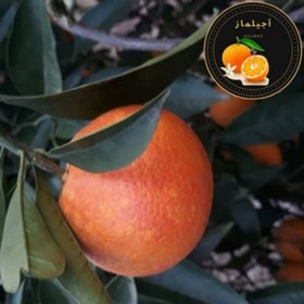 تصویر نارنگی پیج درجه 1 یک کیلویی 