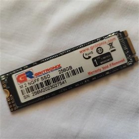 تصویر SSD Gritronix m2 256G 