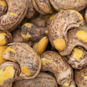 تصویر بادام هندی با پوست 200 گرمی 