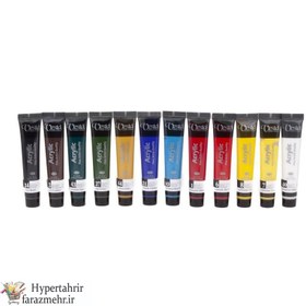 تصویر اکرلیک 12 رنگ وستا 