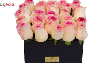 تصویر جعبه گل طبيعي ميتا رز سفيد صورتي هلندي ا Mita White Pink Rose Flower Box Mita White Pink Rose Flower Box