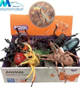 تصویر بسته ۱۲ عددی حشرات ماقبل تاریخ اوریجینال 