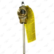 تصویر شیر اطمینان توسکا 