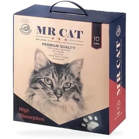 تصویر خاک گربه مستر کت پودربچه جعبه ای 