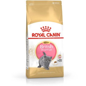 تصویر غذای خشک بچه گربه بریتیش برند رویال کنین 2 کیلوگرم Royal Canin British Shorthair Kitten 2Kg