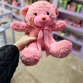 تصویر خرس راس بزرگ 