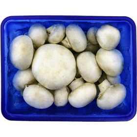 تصویر قارچ 200 گرم 