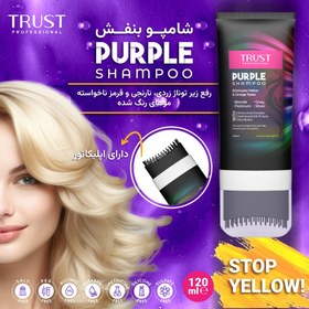 تصویر شامپو ضدزردی وقرمزی مو گیاهی تراست shampoo