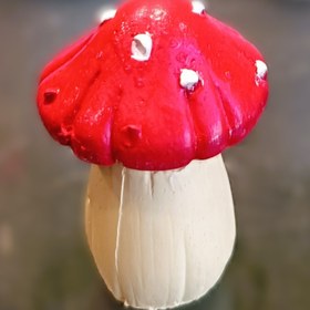 تصویر قارچ بزرگ و کوچک - بزرگ 