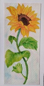 تصویر کارت پستال طرح گل آفتابگردان2 