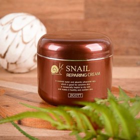 تصویر کرم حلزون ترمیم‌کننده جیگات Jigott Snail Repairing Cream