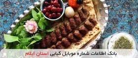 تصویر بانک اطلاعات شماره موبایل کبابی استان ایلام 