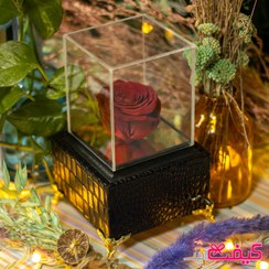 تصویر رز جاودان موزیکال مدل لاکچری (مشکی) 