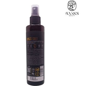 تصویر اسپری موی دو فاز آدرا حاوی روغن آرگان 200 میلی لیتر 