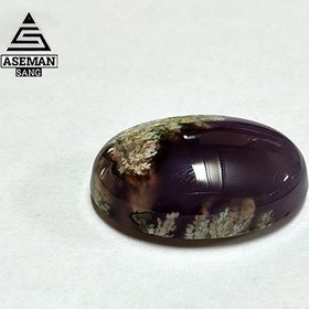 تصویر شجر S71 