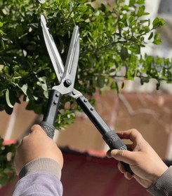 تصویر قیچی شمشادزن ZB 303 