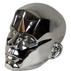 تصویر چهره مانکن مردانه PAF-005 