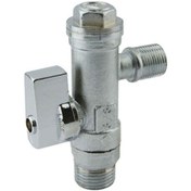 تصویر شیر پیسوار ساچمه ای قهرمان 