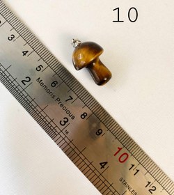 تصویر پلاک گردنبند چشم ببر - عدد۱۰ 