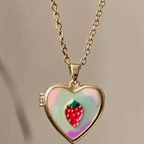 تصویر لاکت قلبی میناکاری 