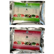 تصویر کود هیدروپونیک هادر A و B 