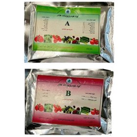 تصویر کود هیدروپونیک هادر A و B 