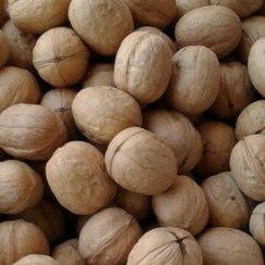 تصویر گردو پوست کاغذی درجه یک 