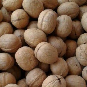 تصویر گردو پوست کاغذی درجه یک 