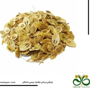 تصویر فروشگاه بازرگانی ارگانیک رحیمی شادگان