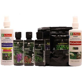 تصویر پک مراقبتی و درمانی انواع آگلونما 