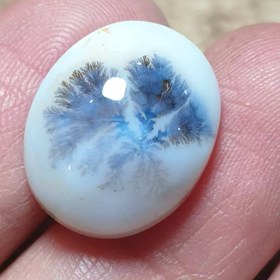 تصویر عقیق شجر قائن سوزنی زیبا خاص 