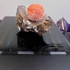 تصویر تامسونیت نارنجی 