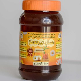 تصویر عسل ترنجبین (خارشتر) Mangosteen honey