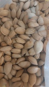 تصویر بادام درختی (سنگی) مغز زرین بادام سنگی